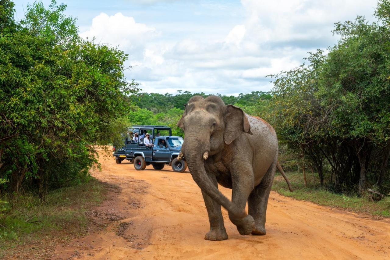 Hilton Yala Resort エクステリア 写真